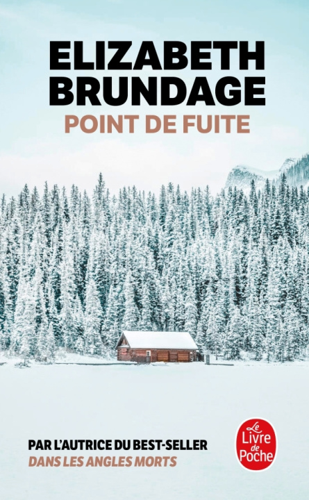 Knjiga Point de fuite Elizabeth Brundage