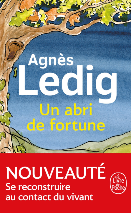 Book Un abri de fortune Agnès Ledig