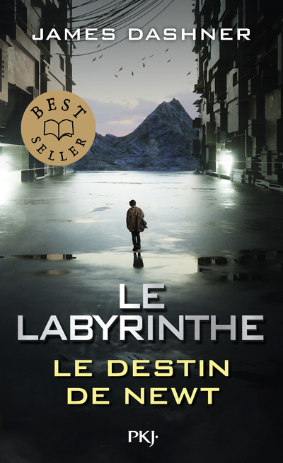 Kniha Le Labyrinthe : Le destin de Newt James Dashner