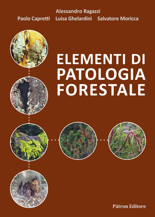 Könyv Elementi di patologia forestale Alessandro Ragazzi