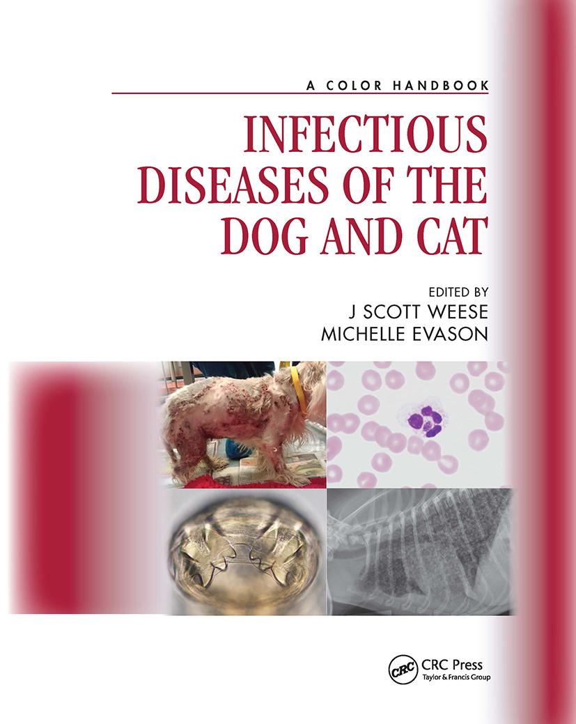 Könyv Infectious Diseases of the Dog and Cat 