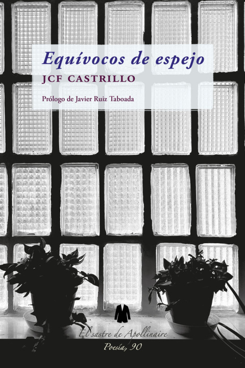 Książka Equívocos de espejo FERNÁNDEZ CASTRILLO