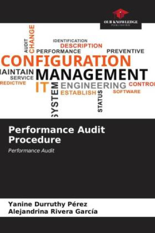 Libro Performance Audit Procedure Alejandrina Rivera García