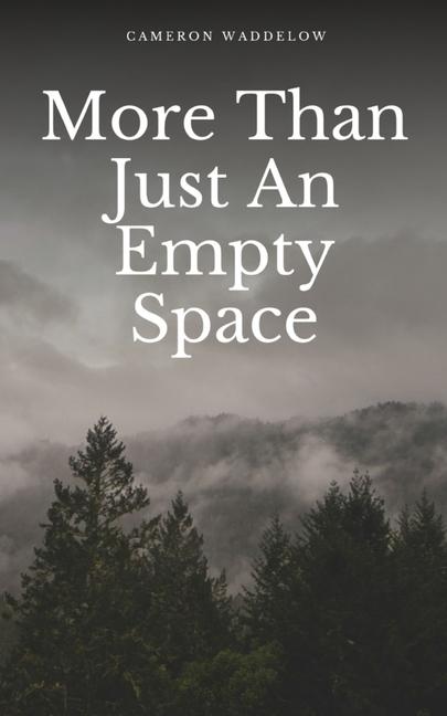 Knjiga More Than Just An Empty Space Cameron Waddelow
