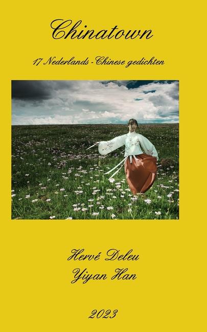 Buch Nederlands/Chinees Hervé Deleu
