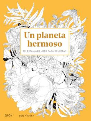 Könyv Un planeta hermoso LEILA DULY