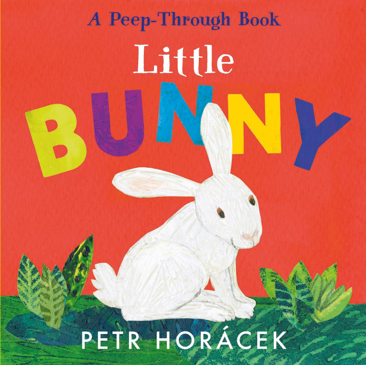 Book Little Bunny Petr Horacek