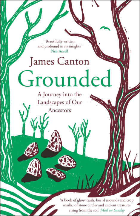 Βιβλίο Grounded James Canton