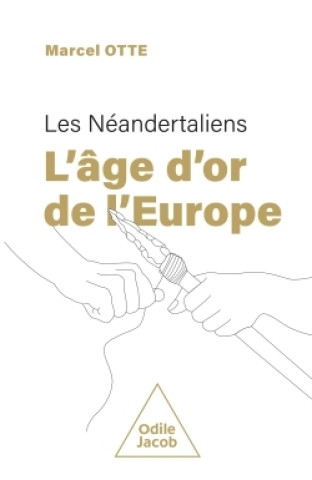 Könyv L'Âge d'or de l'Europe : les Néandertaliens Marcel Otte
