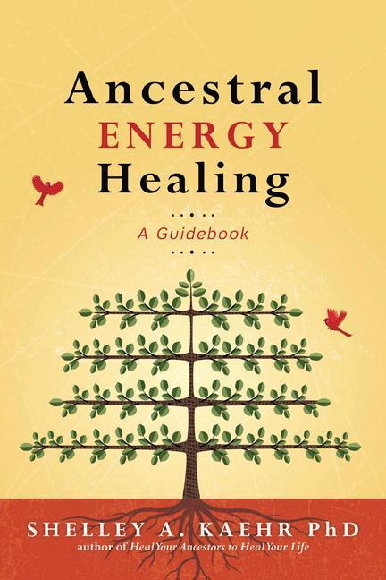 Kniha Ancestral Energy Healing: A Guidebook Cyndi Dale