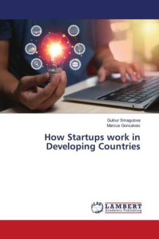 Книга How Startups work in Developing Countries Marcus Goncalves