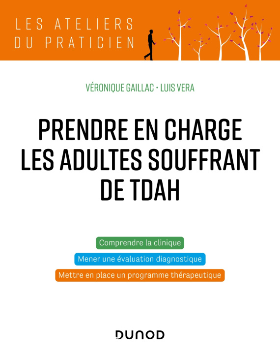 Book Prendre en charge les adultes souffrant de TDAH Luis Vera