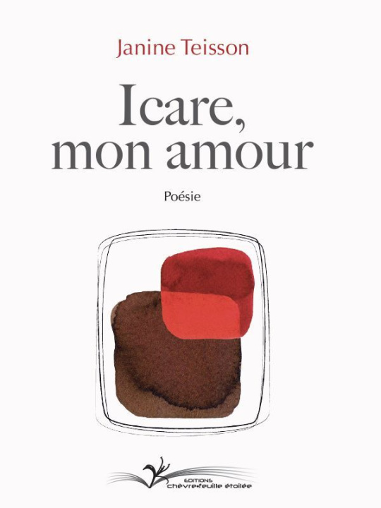 Boek Icare mon amour Teisson