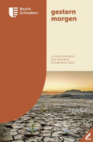 Livro gestern morgen Claudia Endrich