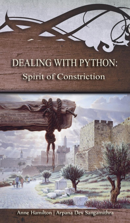 Knjiga Dealing with Python Irenie Senior