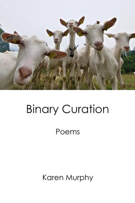 Knjiga Binary Curation: Poems Karen Murphy