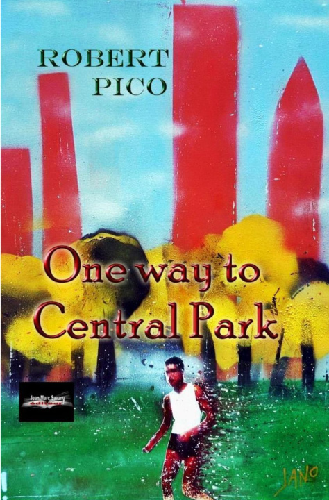Kniha One way to Central Park PICO