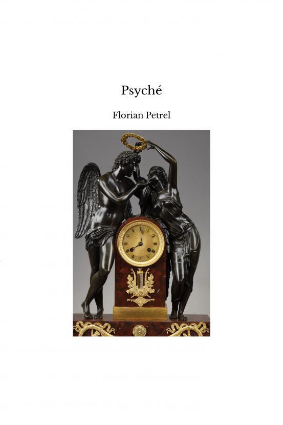 Knjiga Psyché Petrel