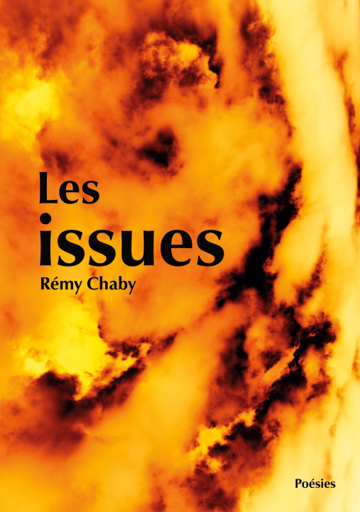 Knjiga ISSUES REMY CHABY