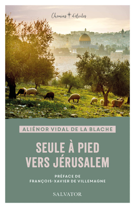 Kniha Seule à pied vers Jérusalem Aliénor Vidal de La Blache