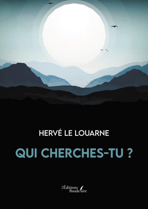 Knjiga Qui cherches-tu ? Hervé LE LOUARNE