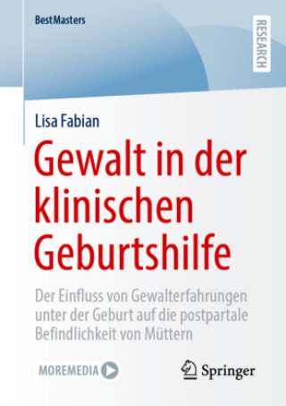Kniha Gewalt in der klinischen Geburtshilfe Lisa Fabian