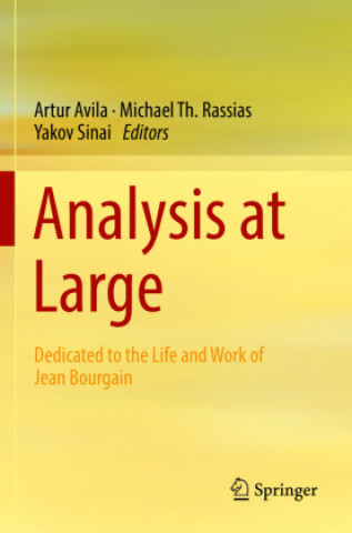 Knjiga Analysis at Large Artur Avila