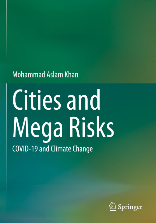 Knjiga Cities and Mega Risks Mohammad Aslam Khan