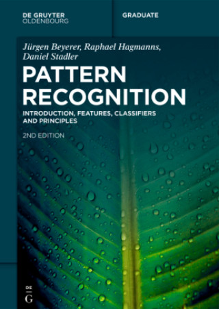 Книга Pattern Recognition Jürgen Beyerer