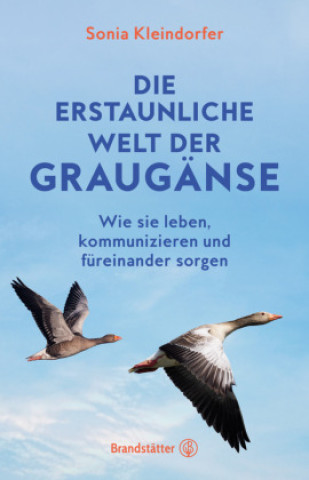 Könyv Die erstaunliche Welt der Graugänse Sonia Kleindorfer