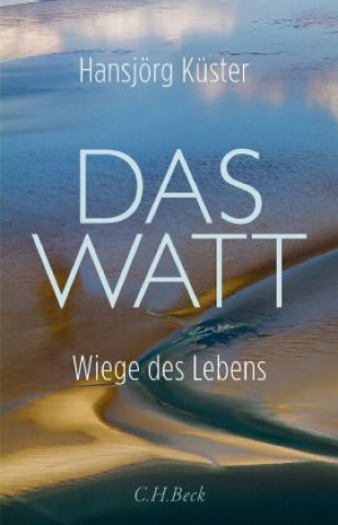 Könyv Das Watt Hansjörg Küster