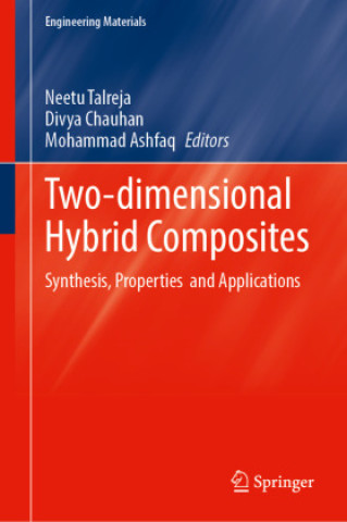 Knjiga Two-dimensional Hybrid Composites Neetu Talreja
