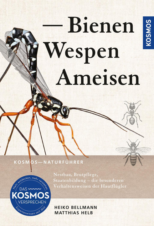 Buch Bienen, Wespen, Ameisen Matthias Helb