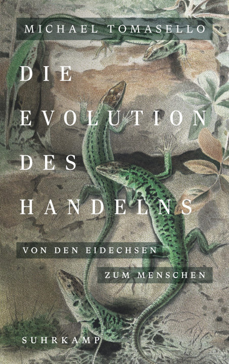 Книга Die Evolution des Handelns Jürgen Schröder