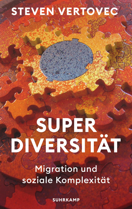 Kniha Superdiversität Alexandra Berlina