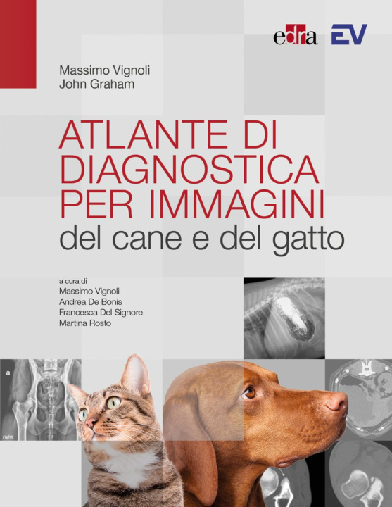 Könyv Atlante di diagnostica per immagini del cane e del gatto Massimo Vignoli