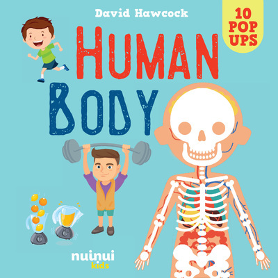 Buch Human Body David Hawcock