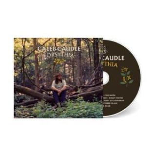 Zvok Forsythia Caleb Caudle