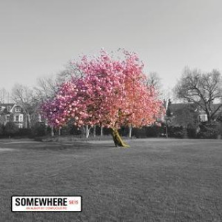 Zvok Somewhere Confucius MC