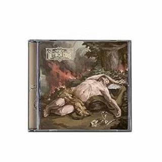 Zvok Insomnia The Voynich Code