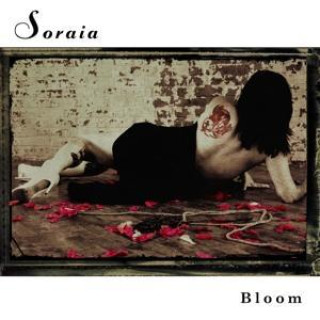 Zvok Bloom 