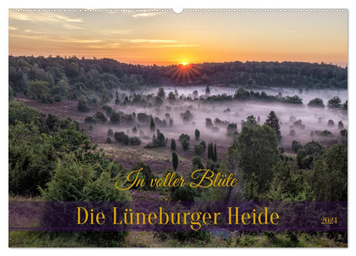 Kalendář/Diář Die Lüneburger Heide - In voller Blüte (Wandkalender 2024 DIN A2 quer), CALVENDO Monatskalender 