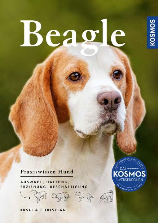 Livre Beagle 