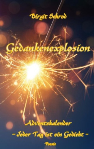 Knjiga Gedankenexplosion Birgit Schrod