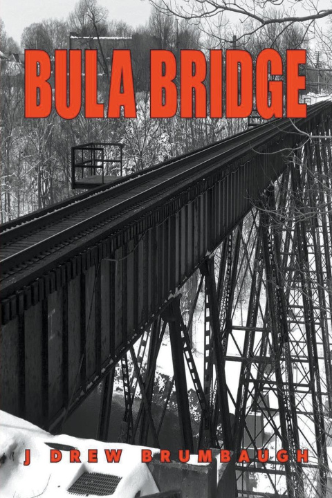 Knjiga Bula Bridge J Drew Brumbaugh