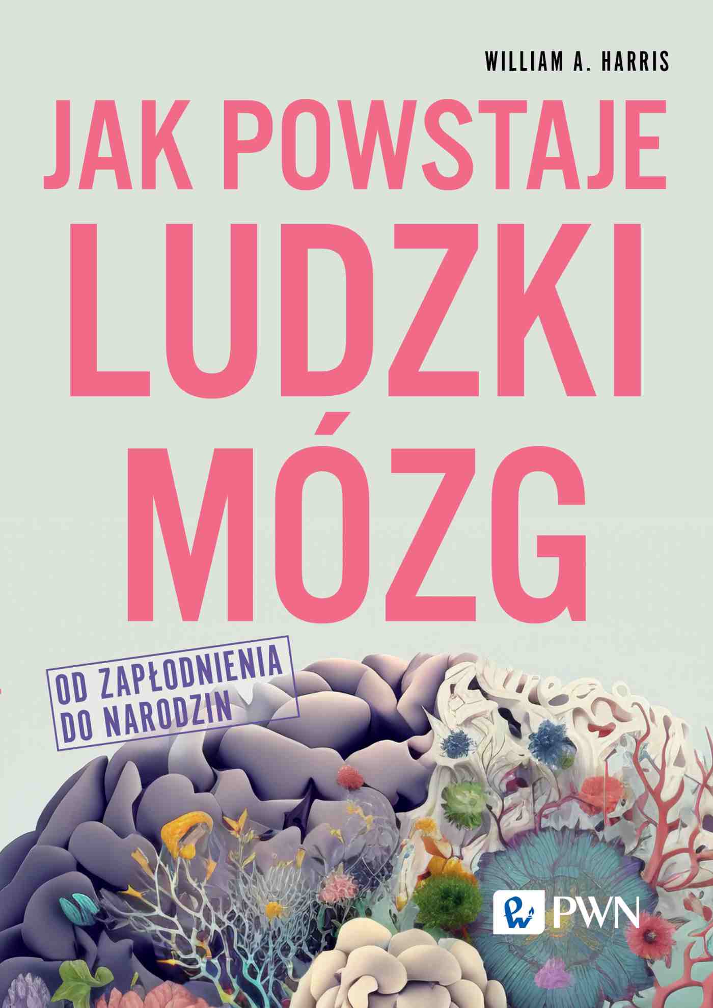 Kniha Jak powstaje ludzki mózg Od zapłodnienia do narodzin Harris William A.