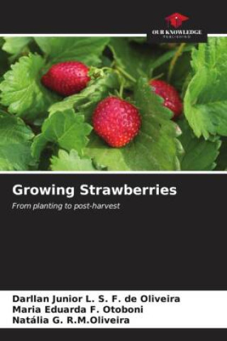 Libro Growing Strawberries Maria Eduarda F. Otoboni