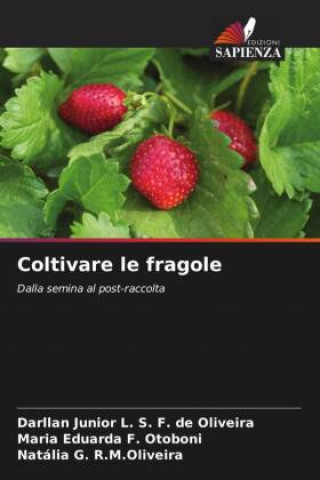 Knjiga Coltivare le fragole Maria Eduarda F. Otoboni