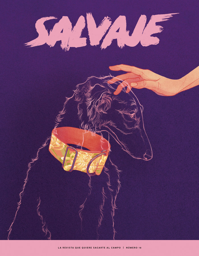Carte REVISTA SALVAJE 18 