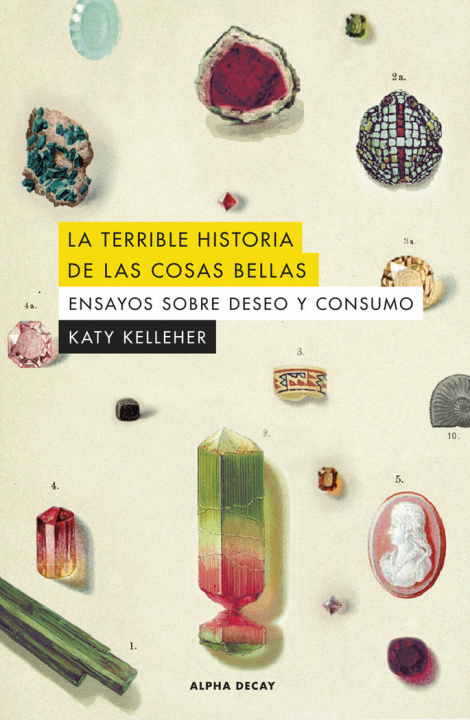 Kniha LA TERRIBLE HISTORIA DE LAS COSAS BELLAS KELLEHER